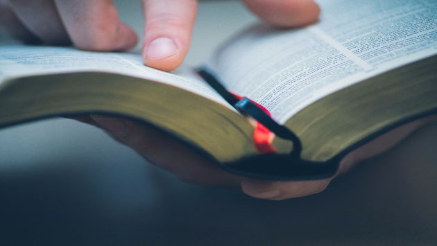 ما الفرق بين الكتاب المقدس وبين التوراة والإنجيل والزبور؟