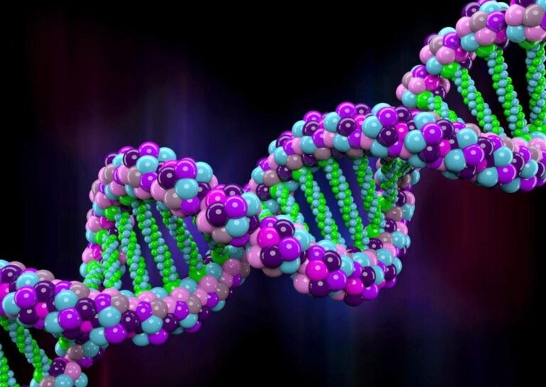 الحمض النووي..  تاريخ حياتك تحت المجهر!